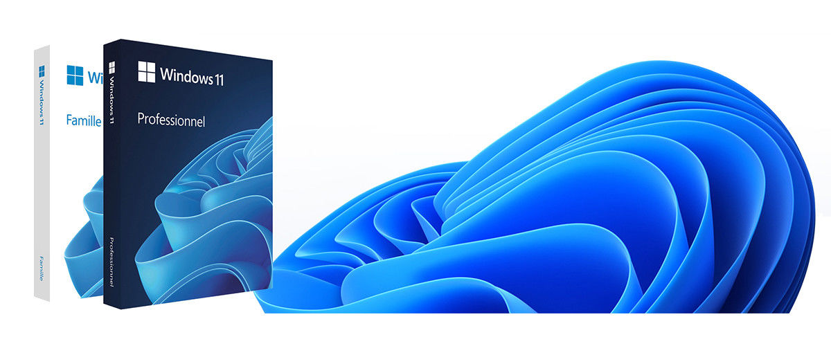 CHINA melhor Pro OEM de Windows 11 em vendas