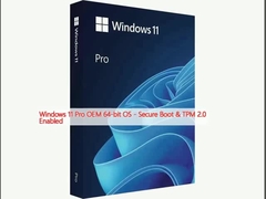 Windows 11 Pro OEM OS de 64 bits - Secure Boot & TPM 2.0 habilitado