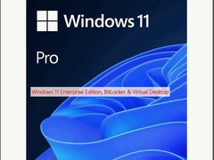 Windows 11 Enterprise Edition, BitLocker e Escritório Virtual