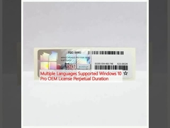 Línguas suportadas Windows 10 Pro Licença OEM Perpétua